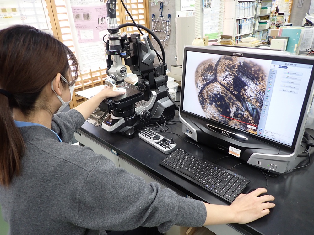 保存科学分野 環境02