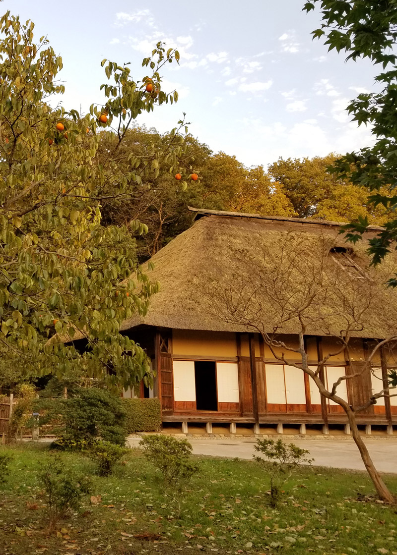 建築